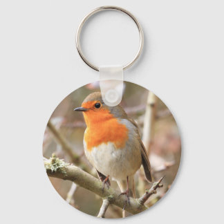 Porte-clés Chirpy Robin
