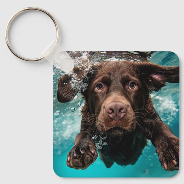 Porte-clés Chocolat Joueur Labrador nage sous l'eau (Recto)
