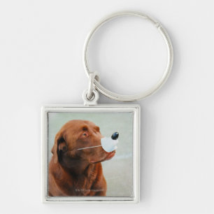 Porte-clés Chocolat Labrador portant un faux nez