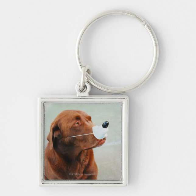 Porte-clés Chocolat Labrador portant un faux nez (Devant)