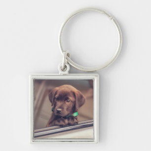 Porte-clés Chocolat Labrador Puppy In Car