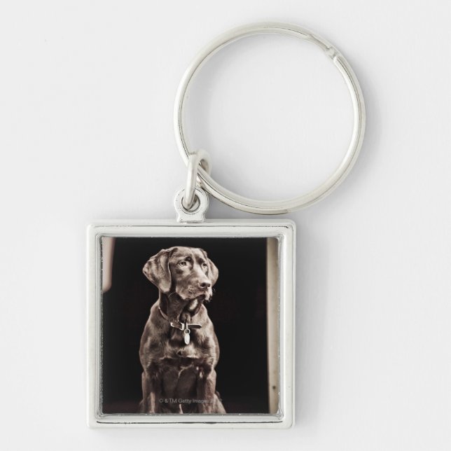 Porte-clés Chocolat labrador retriever (Devant)