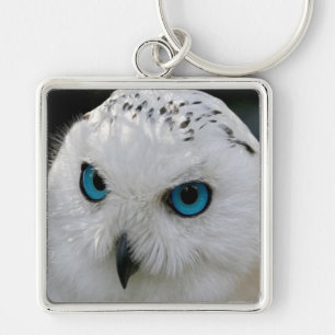 Porte-clés Chouette des neiges