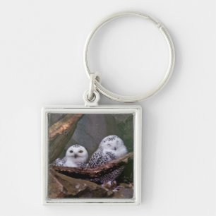 Porte-clés Chouette Harfang Couple Art Bois Faune
