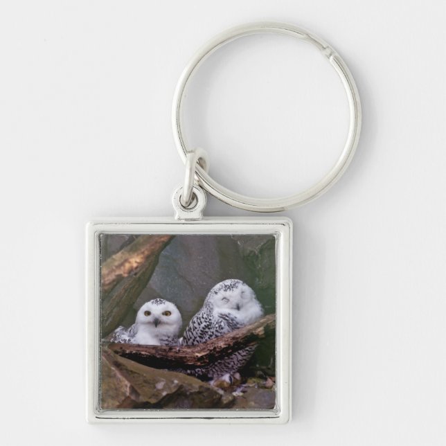 Porte-clés Chouette Harfang Couple Art Bois Faune (Devant)