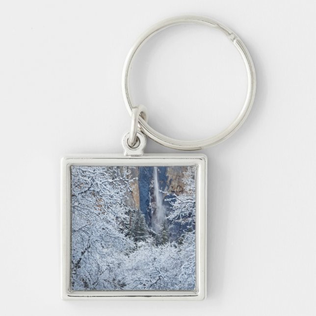 Porte-clés Chutes de neige fraîche dans les arbres sous Brida (Devant)