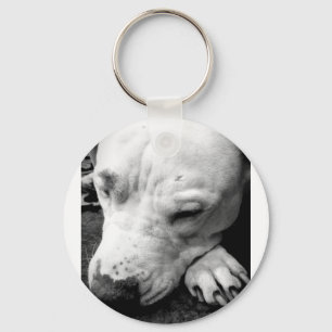 Porte-clés cicatrice de harry potter chien pit bull blanc