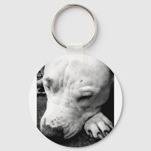 Porte-clés cicatrice de harry potter chien pit bull blanc (Recto)
