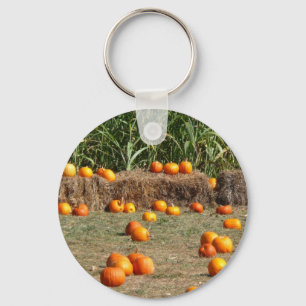 Porte-clés Citrouilles, maïs et foin Photographie de la récol