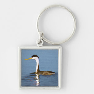 Porte-clés Clark's Grebe Painting - Art original pour les ois