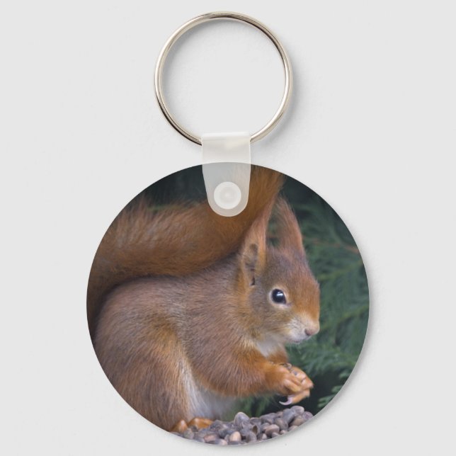 Porte-clés Clavier de Brunch Nut (Recto)