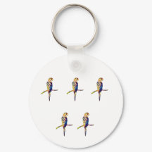 Clavier de perroquet coloré