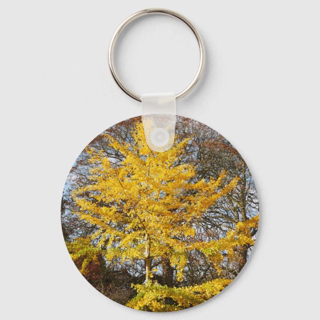 Porte-clés Clavier Ginkgo Biloba Arbre (Recto)