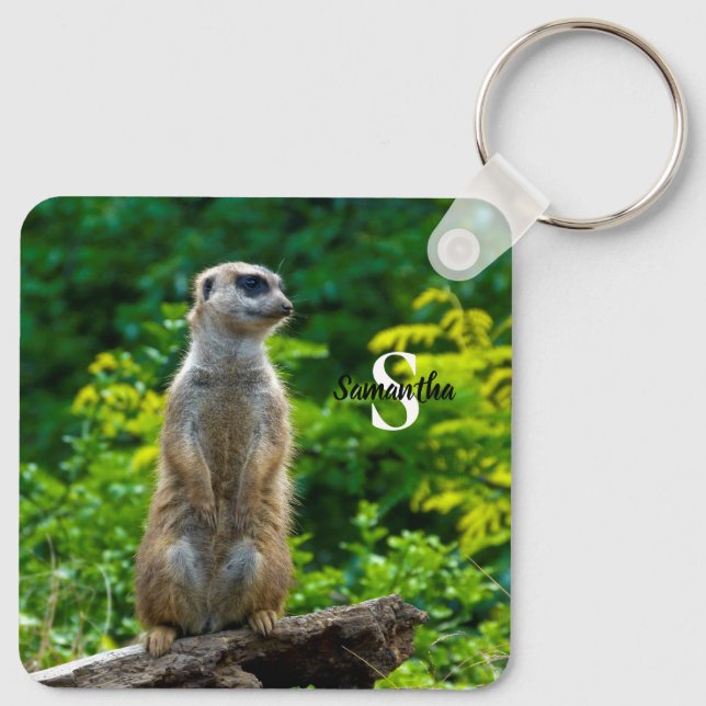 Porte-clés Clavier Meerkat (Dos)