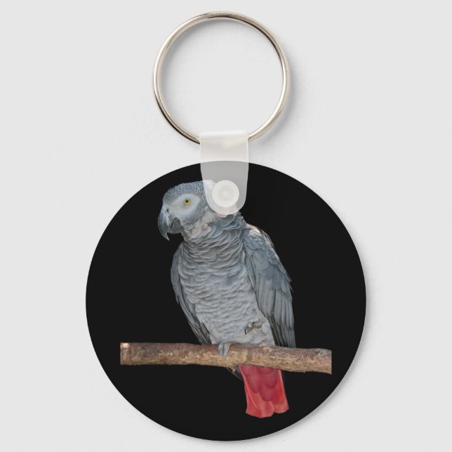Porte-clés Clavier Pesky Parrot (Recto)