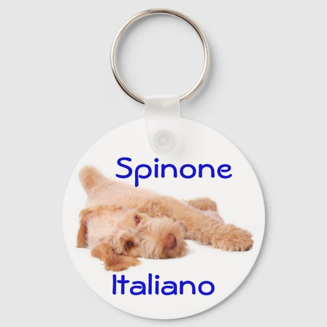 Porte-clés Clavier - Spinone Italiano. (Recto)