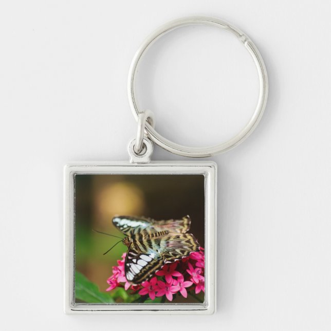 Porte-clés Clipper sur Pentas 3 Porte - clé (Devant)