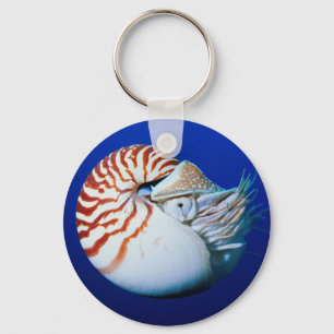 Porte-clés Close-Up Of Chambered Nautilus