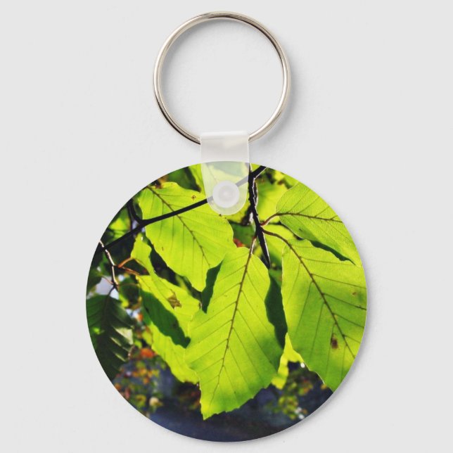 Porte-clés Close Up Photo Of Beech Leaves (Recto)