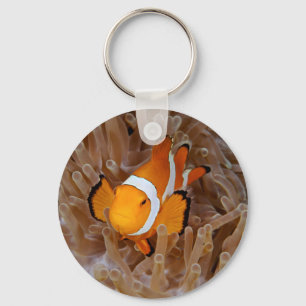 Porte-clés Clownfish - Molokai
