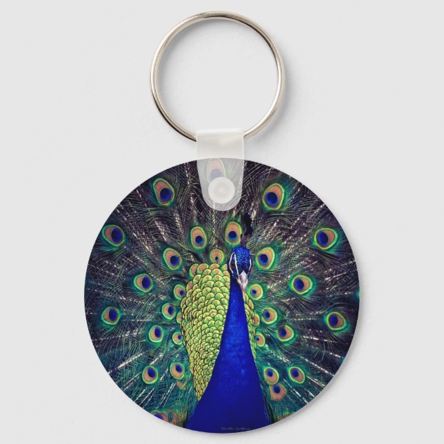Porte-clés Cobalt Blue Peacock (Recto)