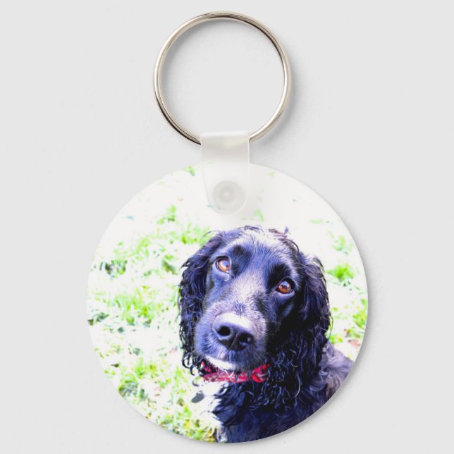 Porte-clés Cocker Spaniel (Recto)