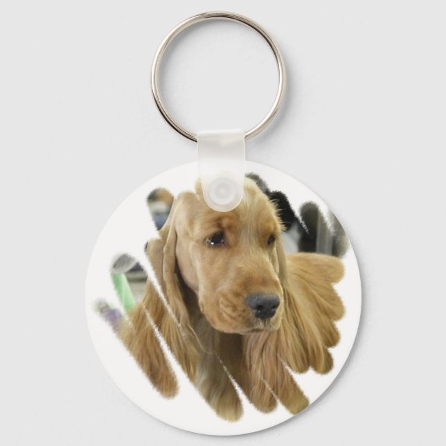 Porte-clés Cocker Spaniel Chien Chien Chien Porte - clé (Recto)