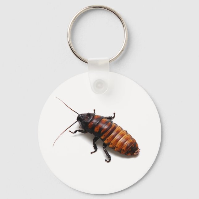Porte-clés Cockroach (Recto)