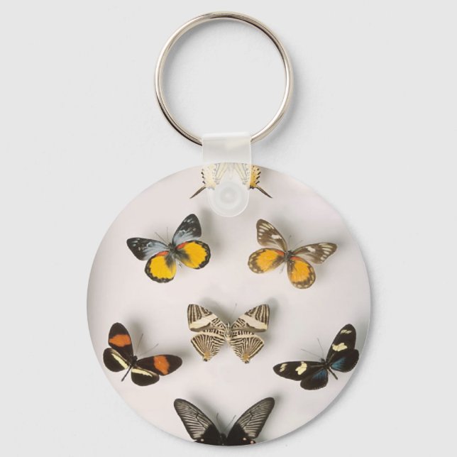 Porte-clés Colection-of-butterflies, keychain (Recto)