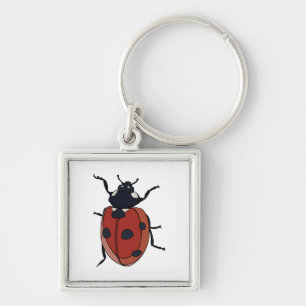 Porte-clés Coléoptères Insecte Coccinelle Coléoptères
