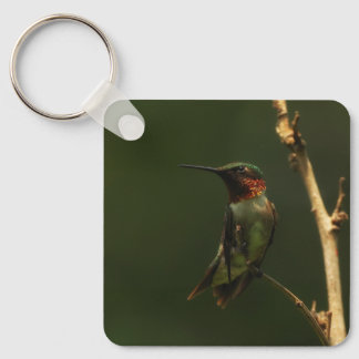 Porte-clés Colibri à gorge rubis