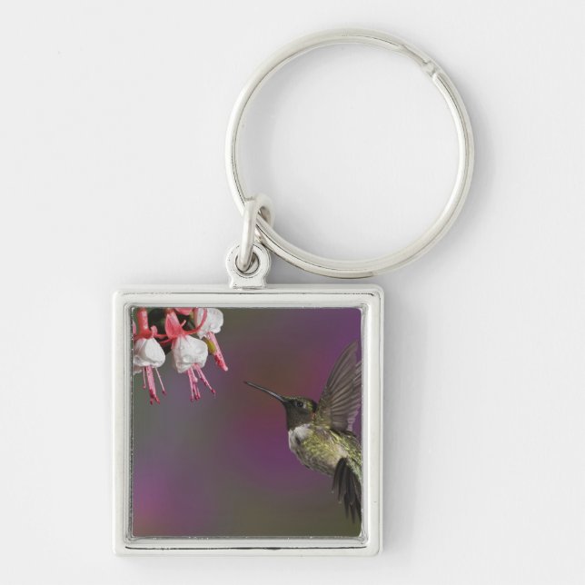 Porte-clés Colibri à gorge rubis mâle (Devant)