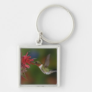 Porte-clés Colibri à gorge rubis mâle