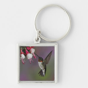 Porte-clés Colibri à gorge rubis mâle, Archilochus