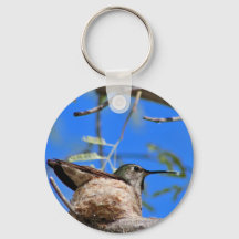 Porte-clés colibri dans un nid