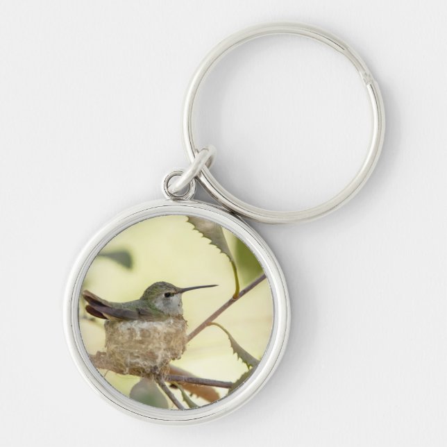Porte-clés Colibri femelle sur son nid (Devant)