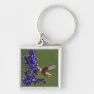 Porte-clés Colibri roux
