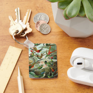 Porte-clés Colibris par Ernst Haeckel, Oiseaux Vintages