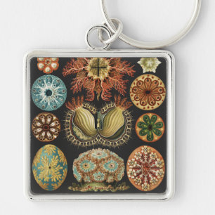 Porte-clés Collage d'art de la vie marine nautique d'Ernst Ha