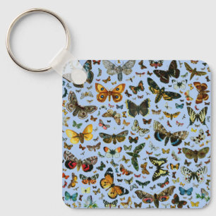 Porte-clés Collage des papillons de nuit et des papillons de