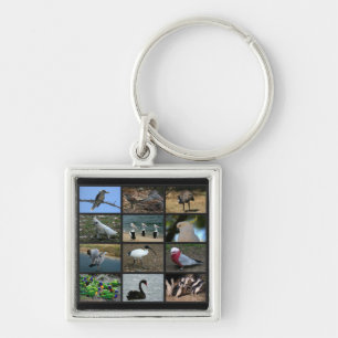 Porte-clés Collage d'Oiseaux australiens