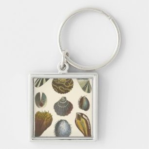 Porte-clés Collection Conchology