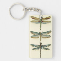 Collection de libellules par Chariklia Zarris