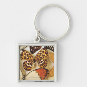 Porte-clés Collection de papillon