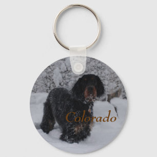 Porte-clés Colorado Gordon Setter Porte - clé chiot