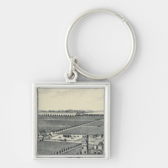 Porte-clés Comté de Caledonia Vineyard, Fresno (Devant)