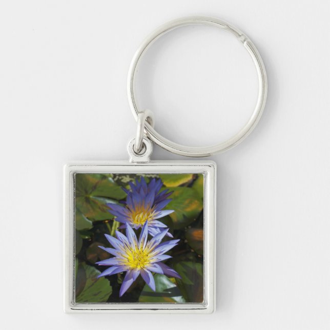 Porte-clés Conception botanique florale de nénuphar tropical (Devant)