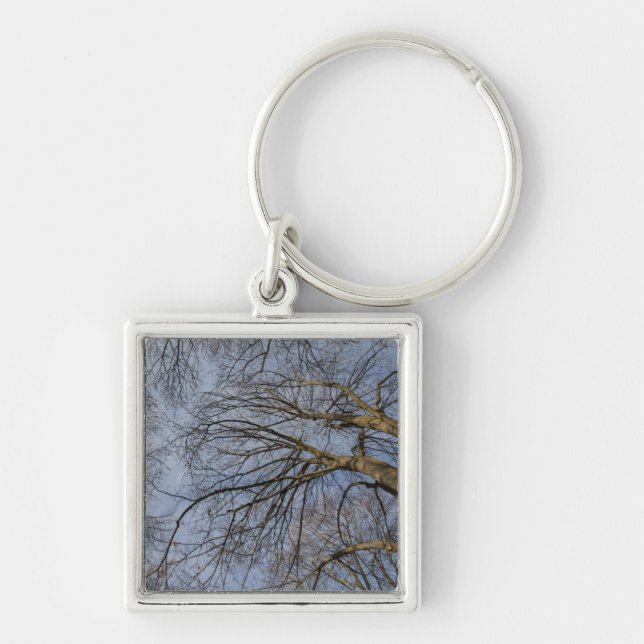 Porte-clés Conception/motif de tronc d'arbre. Pioineer Park,  (Devant)