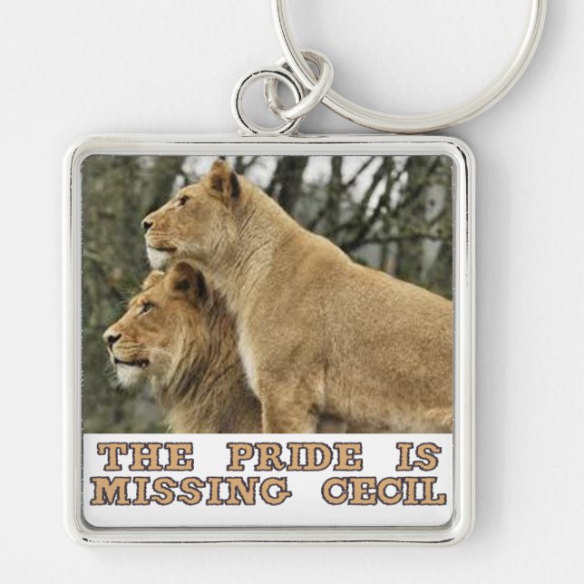 Porte-clés conceptions fraîches de lions (Devant)