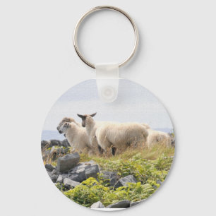 Porte-clés Conceptions originales - Moutons dans un champ